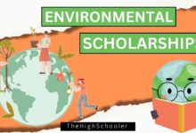 Scholarships For High School Seniors: Opportunities And Impact