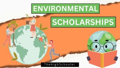 Scholarships For High School Seniors: Opportunities And Impact